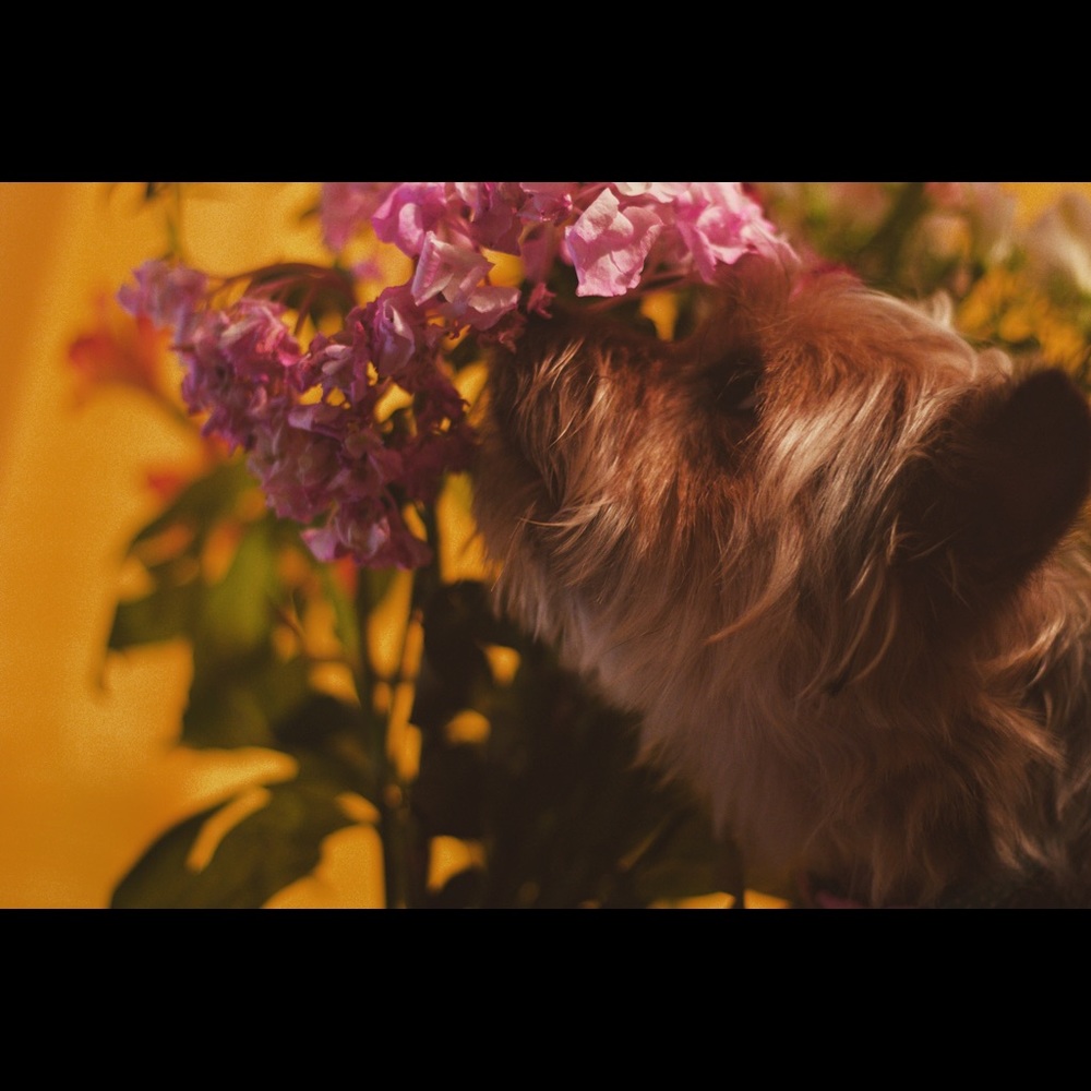 Meet your Posher, Maricela